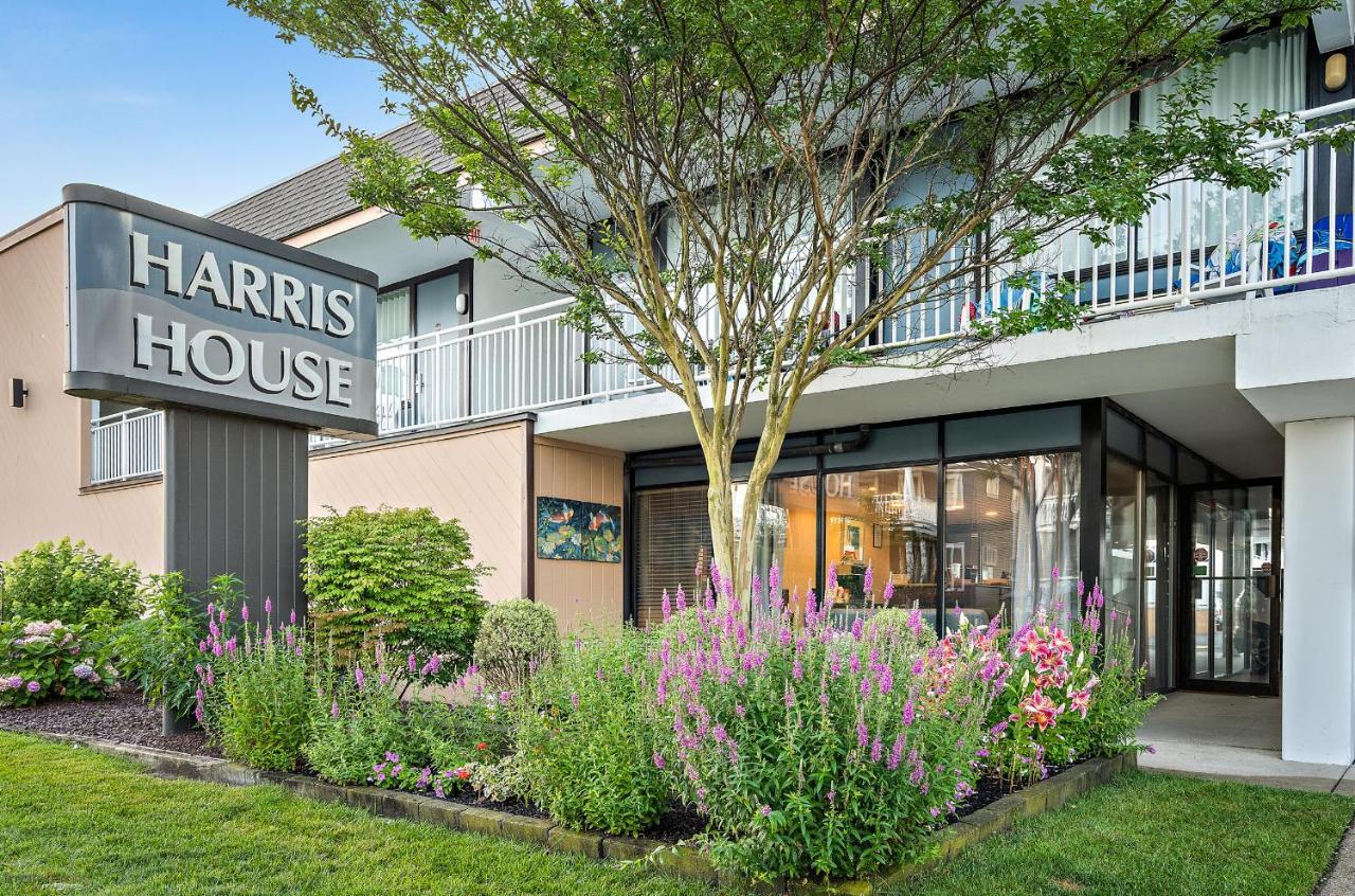 Harris House By The Beach โอเชียนซิตี ภายนอก รูปภาพ