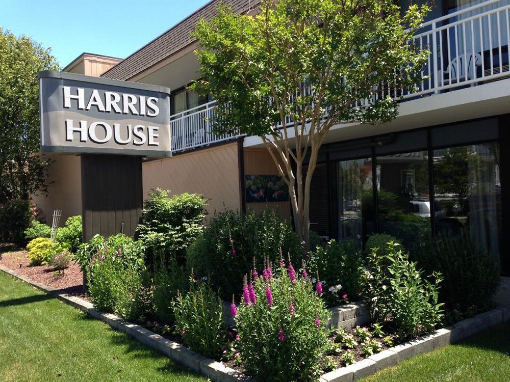 Harris House By The Beach โอเชียนซิตี ภายนอก รูปภาพ