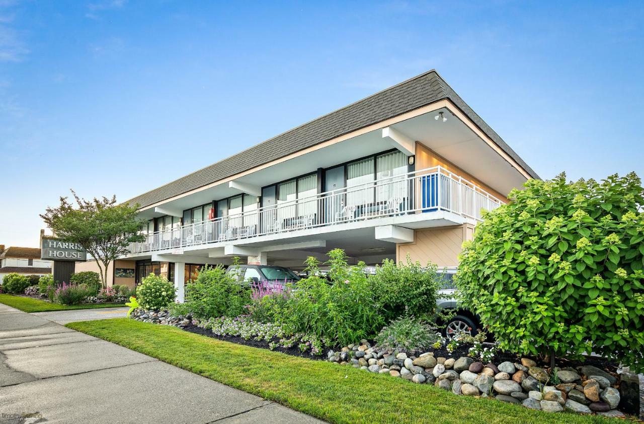 Harris House By The Beach โอเชียนซิตี ภายนอก รูปภาพ