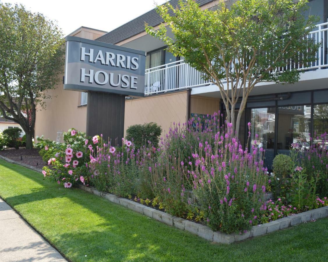 Harris House By The Beach โอเชียนซิตี ภายนอก รูปภาพ